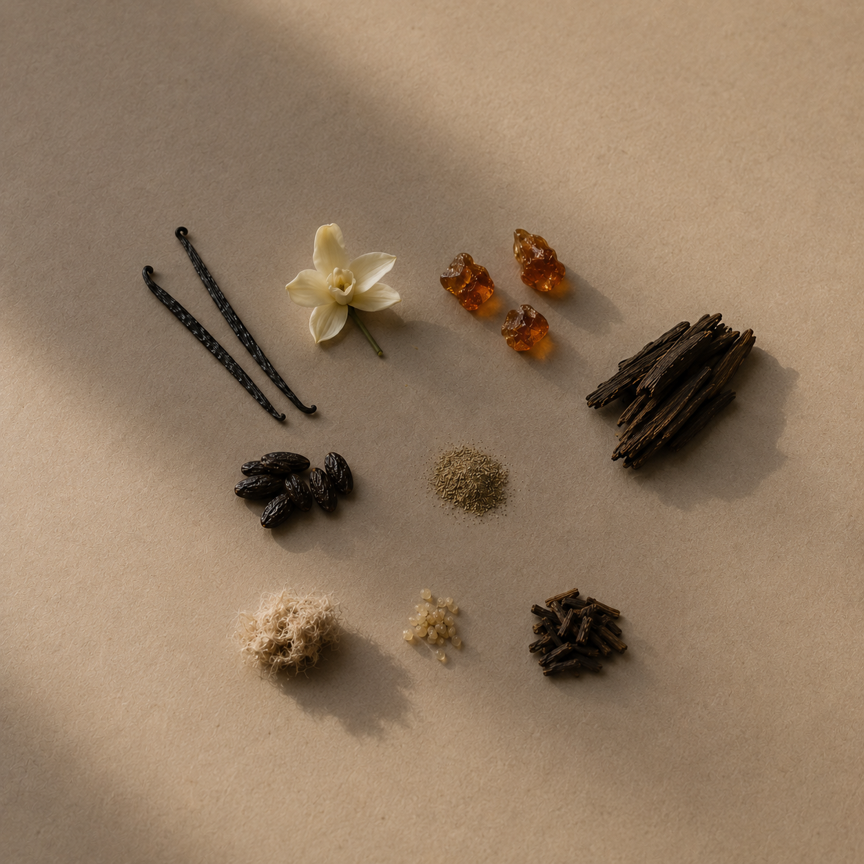 Vanilla flower and pods
